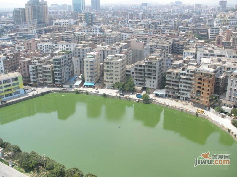 湖畔花园实景图图片