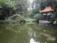 丽江花园康城居实景图图片