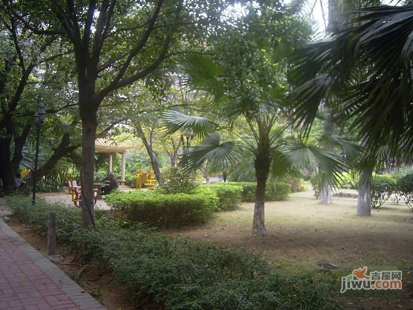 天一新村实景图图片