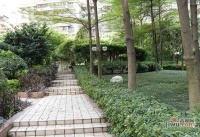 怡安花园实景图图片