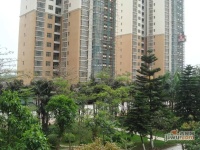 珠江花园实景图图片