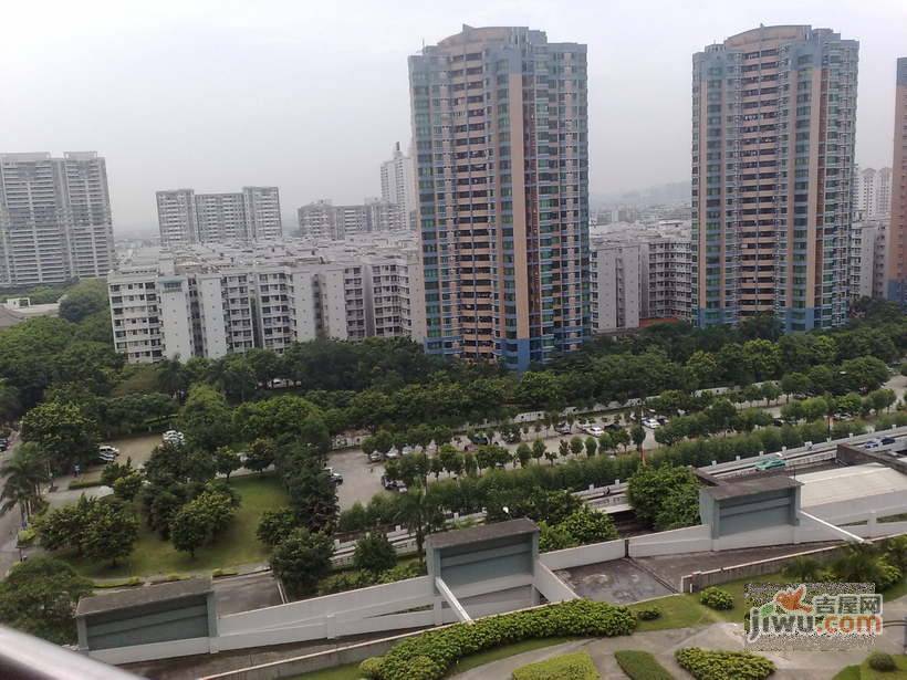 丽江花园左岸实景图图片