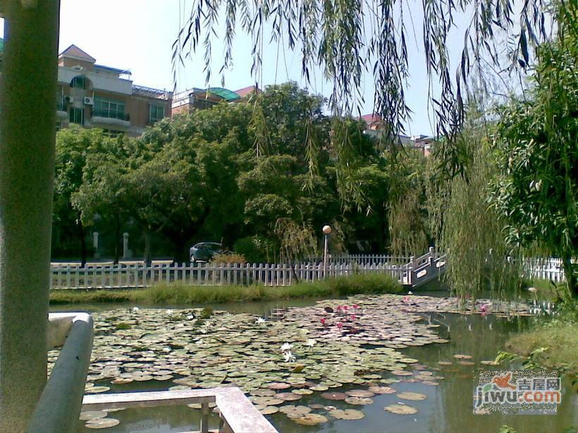 顺德碧桂园花园区实景图图片