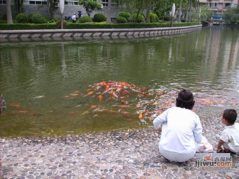 海龙湾实景图46