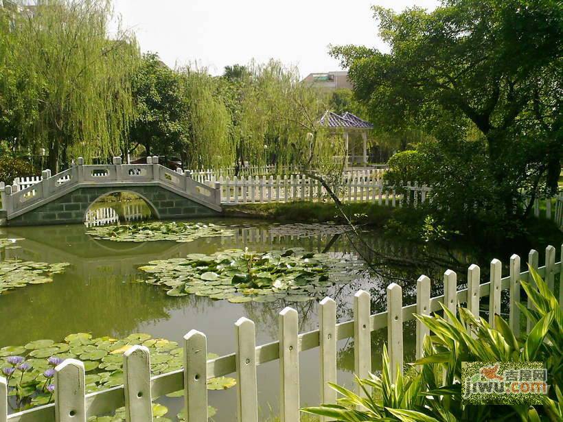 顺德碧桂园花园区实景图图片