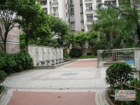 广州保利花园实景图图片