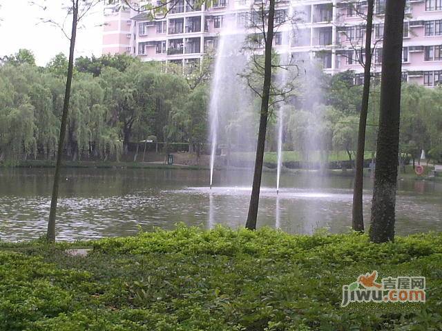 丽江花园实景图图片