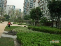 中海康城花园实景图图片