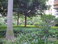 翠华花园实景图图片