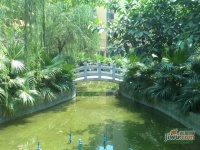 翠华花园实景图图片