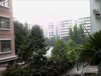 暨南花园实景图图片