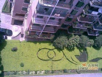 新市紫荆花园实景图图片