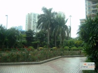 海印明珠花园实景图图片