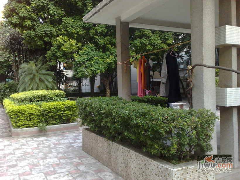 信诚小区实景图图片