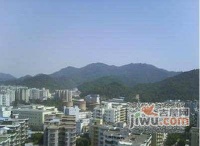 云山雅苑实景图图片