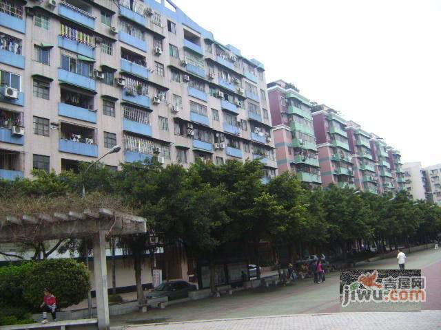 上步花园实景图图片