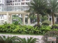 广州保利花园实景图图片