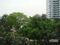 珠江花园实景图图片