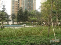 珠江花园实景图2
