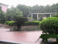 南珠广场实景图图片