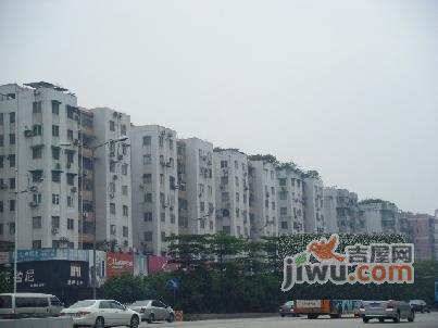 东成花苑实景图图片