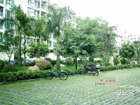 长江数码花园实景图图片