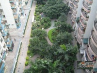 珠江大家庭花园实景图图片