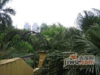 珠江别墅实景图图片