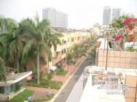 丽江花园棕榈滩实景图16