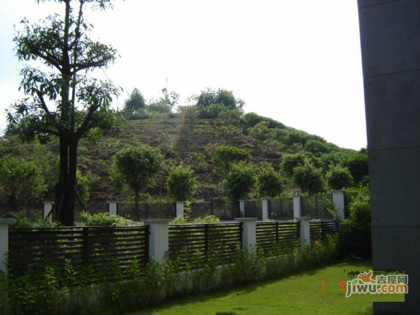 金地荔湖城实景图图片