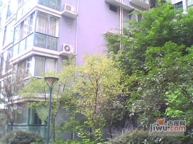 天府花园三期实景图图片