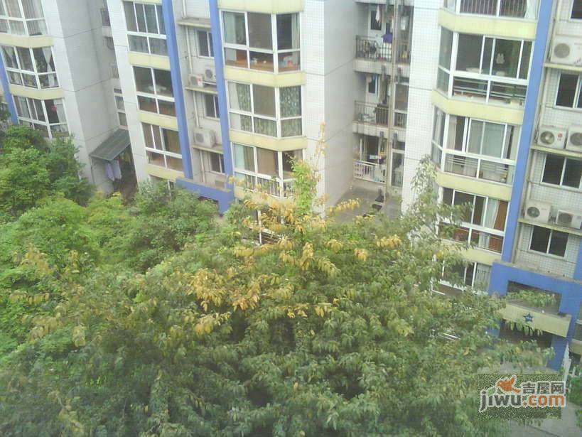 自由新城一期实景图图片