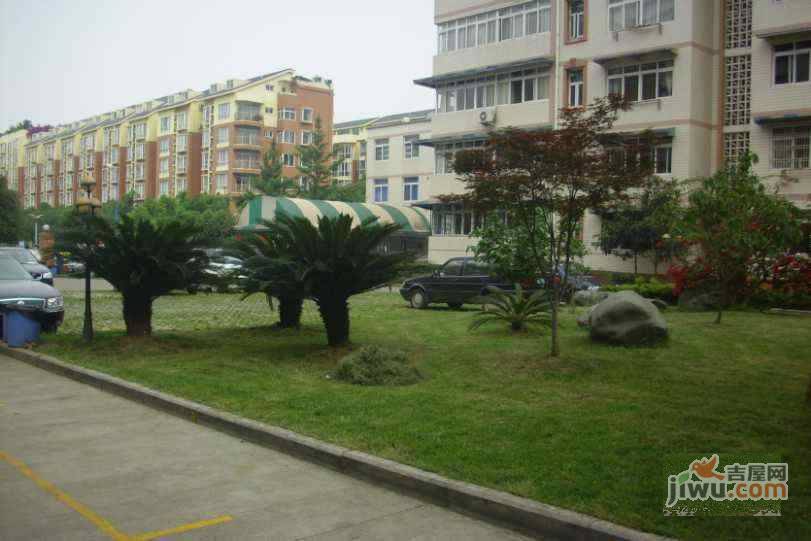 陶然村实景图图片