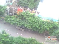 小龙桥小区效果图