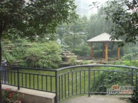 西锦花园实景图图片