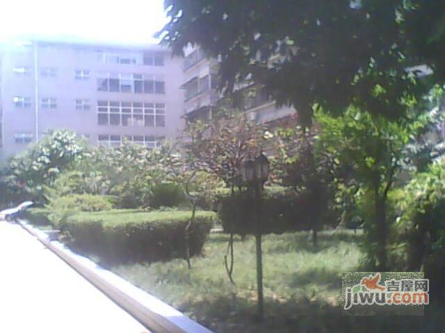 深越花园实景图图片