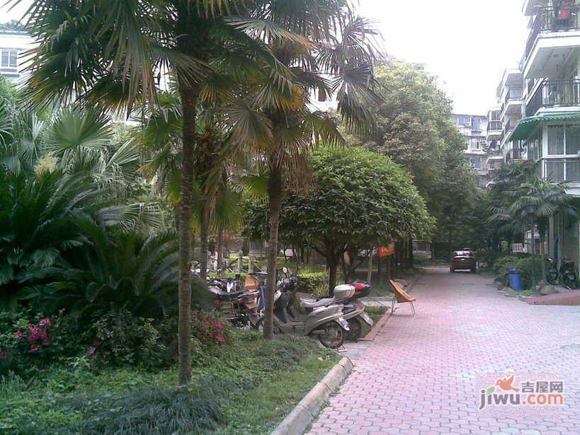 深越花园实景图图片