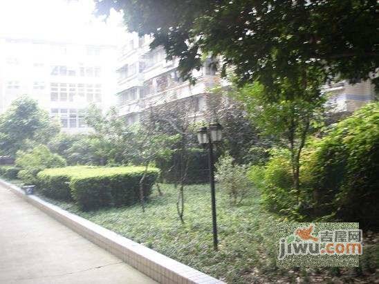 深越花园实景图图片