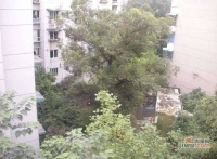 川化住宅区效果图