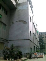 四川省棉麻公司宿舍实景图图片