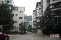 青江小区实景图图片