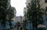 和平小区