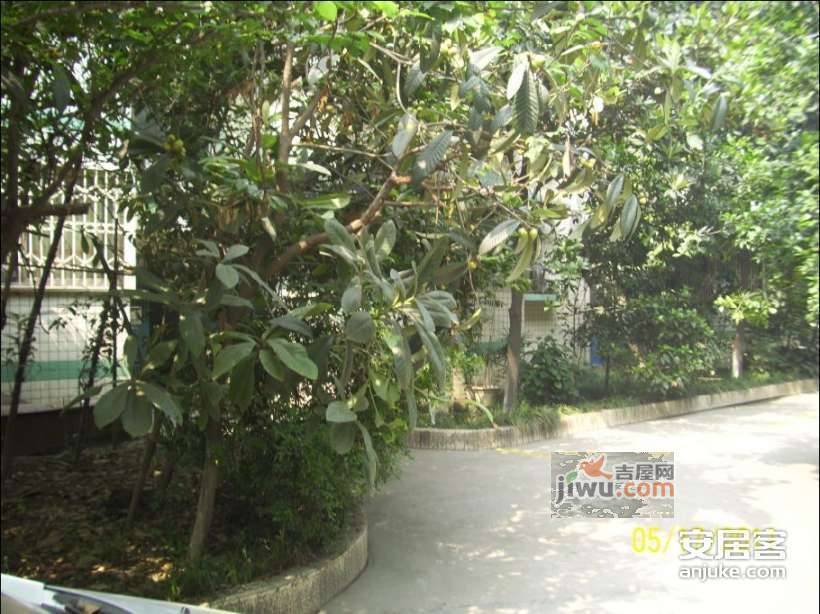 金沙九组小区实景图图片