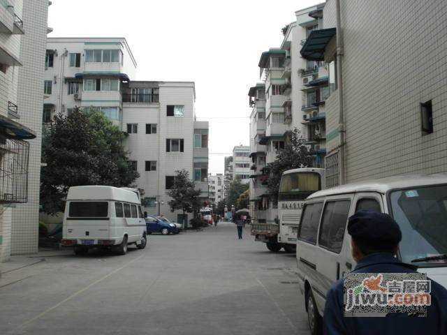 金沙九组小区实景图图片