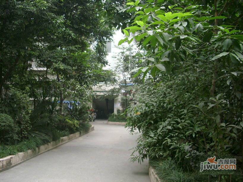 金沙九组小区实景图图片