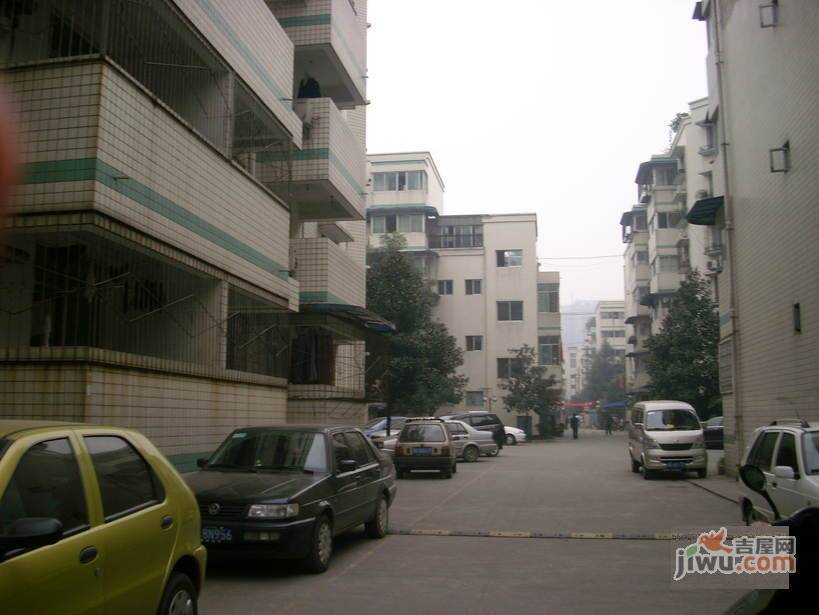 金沙九组小区实景图图片