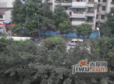 金沙九组小区实景图图片
