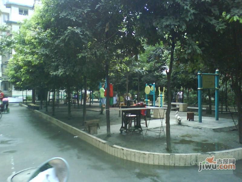 金沙九组小区实景图图片
