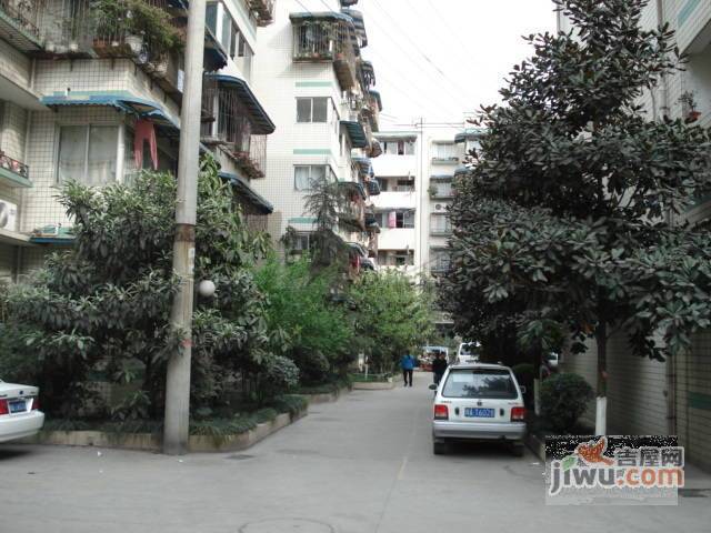 金沙九组小区实景图图片