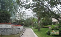 珠江克莱国际公寓实景图图片